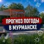 Доброе утро!.
Прогноз погоды на 28 августа: