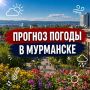 ������ ����!.������� ������ �� 29 �������: