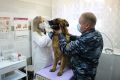 Сегодня свой профессиональный праздник отмечают работники ветеринарной службы уголовно-исполнительной системы