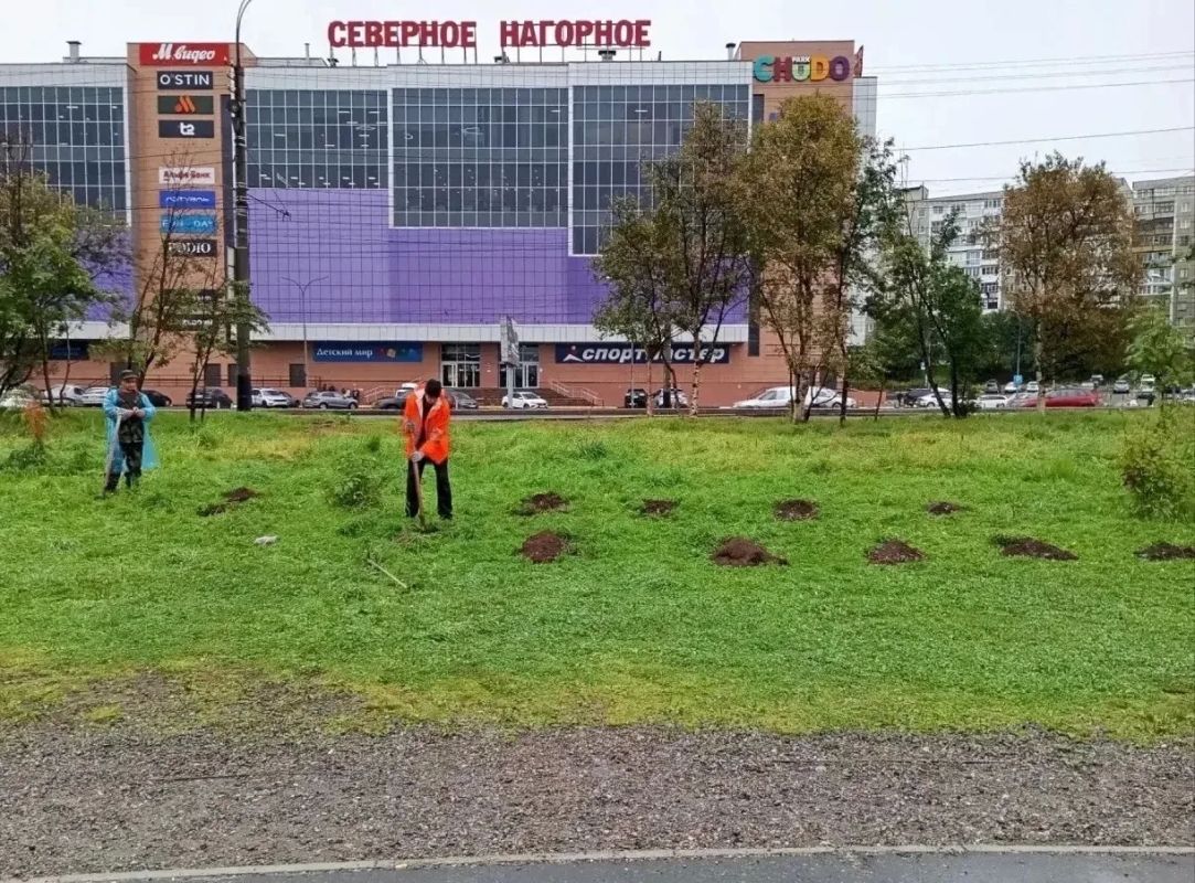 Мурманск сияет!. После праздничных мероприятий в честь Дня знаний общественные территории Мурманска снова радуют чистотой Мурманск сияет!. После праздничных мероприятий в честь Дня знаний общественные территории Мурманска снова радуют чистотой