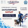 Впервые на фестивале «Гольфстрим» спортсмены будут участвовать вместе с четвероногими друзьями
