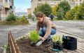 Мурманчанам раздадут саженцы деревьев и кустарников