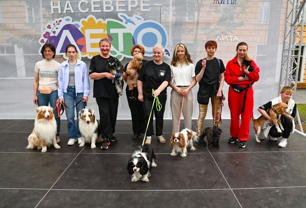 Более 211 тысяч северян стали участниками акции «На Севере – лето» Более 211 тысяч северян стали участниками акции «На Севере – лето»