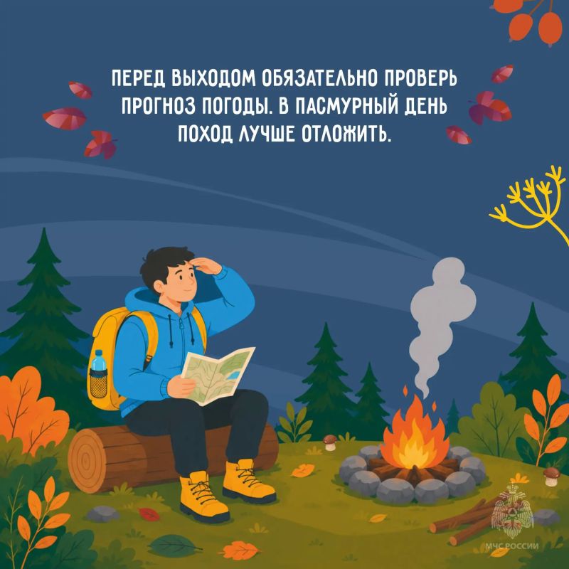 За грибами и ягодами без риска За грибами и ягодами без риска