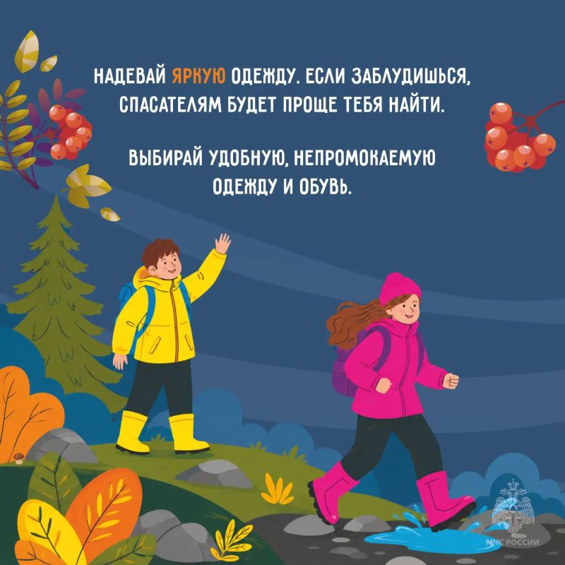 За грибами и ягодами без риска За грибами и ягодами без риска