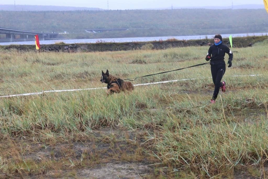 Сотрудники мурманского УФСИН покорили «Заполярный барьер» Сотрудники мурманского УФСИН покорили «Заполярный барьер»