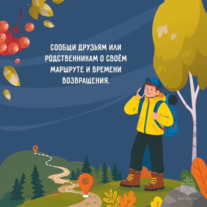 За грибами и ягодами без риска За грибами и ягодами без риска