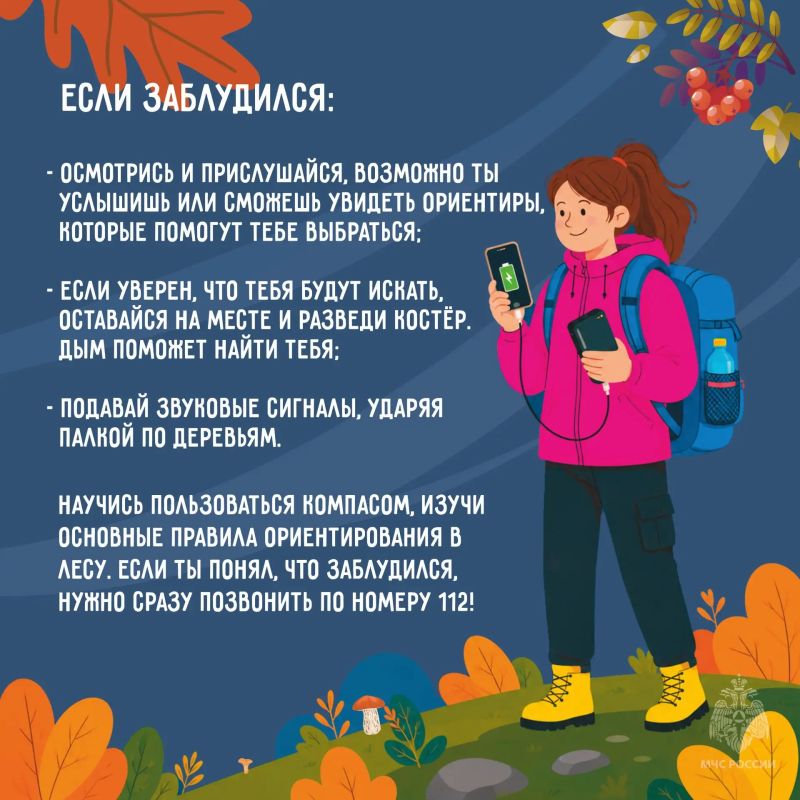За грибами и ягодами без риска За грибами и ягодами без риска