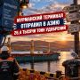 Мурманский балкерный терминал завершил погрузку 26,4 тысячи тонн калийных удобрений на судно компании NewNew Shipping Line