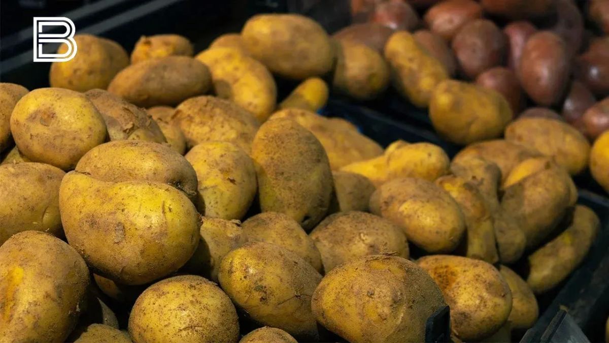 В Мурманской области за неделю подешевели капуста, морковь и картофель
