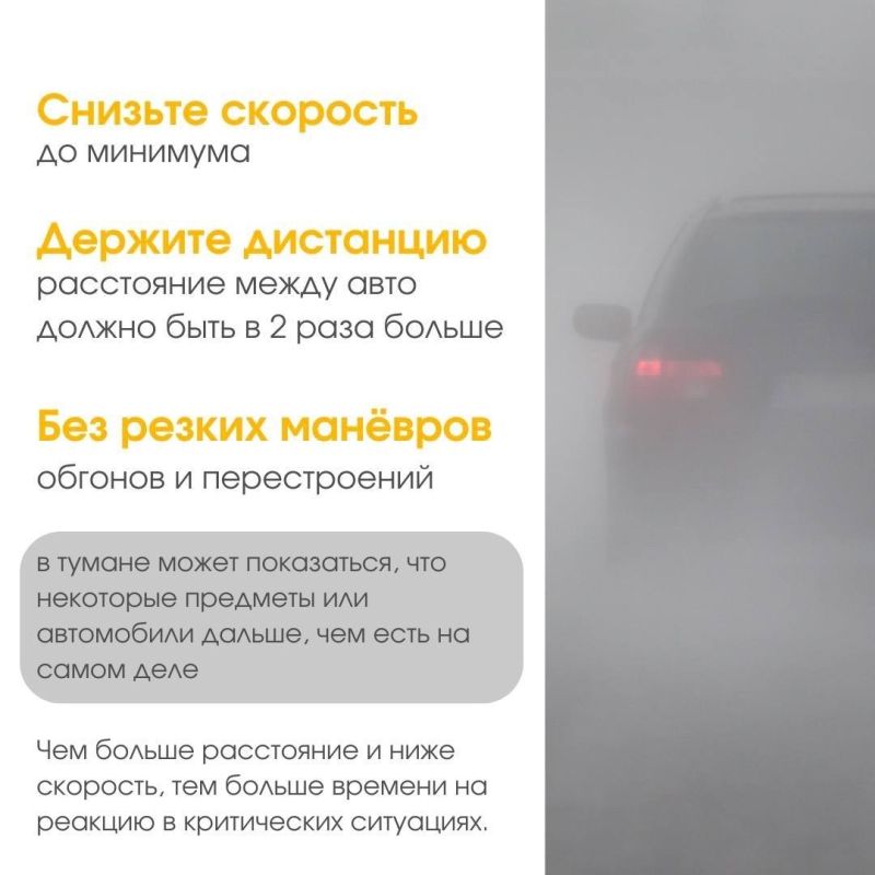 Вести машину в тумане опасно Вести машину в тумане опасно