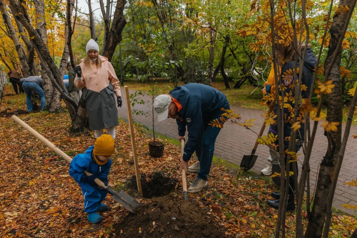 Сирень, пузыреплодник, спирея и другие деревья и кустарники, адаптированные к северному климату, стали частью растительного покрова города Мурманска Сирень, пузыреплодник, спирея и другие деревья и кустарники, адаптированные к северному климату, стали частью растительного покрова города Мурманска