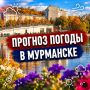 ������ ����!.������� ������ �� 12 ��������: