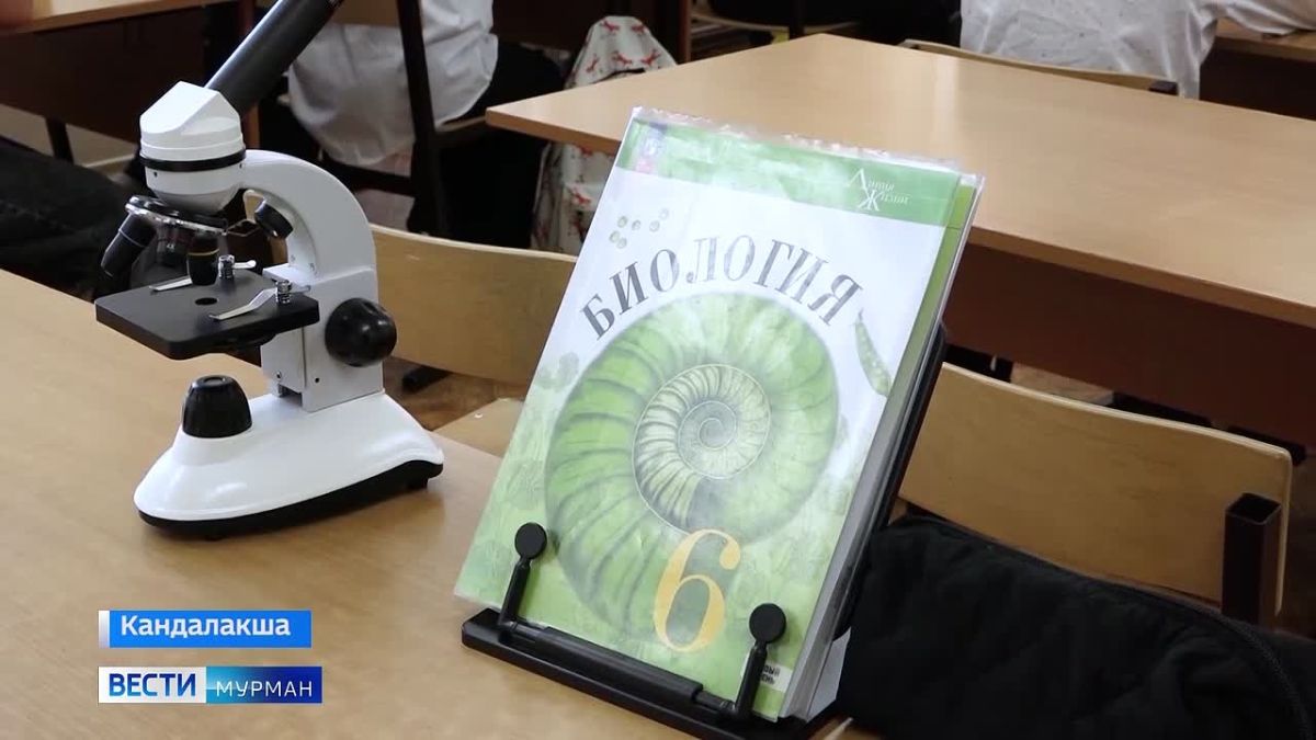 Выпускница школы №10 Кандалакши вернулась из Петербурга в альма-матер уже в качестве учителя