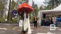 "Сокровища осени": мурманчан приглашают участвовать в осеннем дефиле