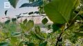� ����� ������������ ��� ������� � �������� ��������� ������� ���������� �������