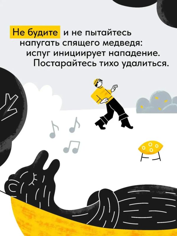В лесу стоит быть осторожнее: медведи готовятся к зиме В лесу стоит быть осторожнее: медведи готовятся к зиме