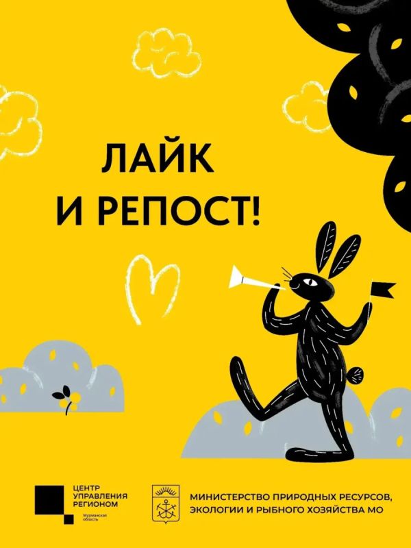 В лесу стоит быть осторожнее: медведи готовятся к зиме В лесу стоит быть осторожнее: медведи готовятся к зиме