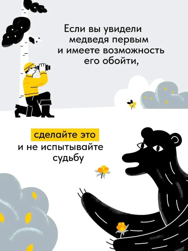 В лесу стоит быть осторожнее: медведи готовятся к зиме В лесу стоит быть осторожнее: медведи готовятся к зиме