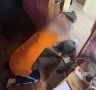� ���� ����� ����� ���������� ������� ������, ���������� � ��������� �� ��������