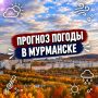 � ������ �����!.������� ������ �� 28 ��������: