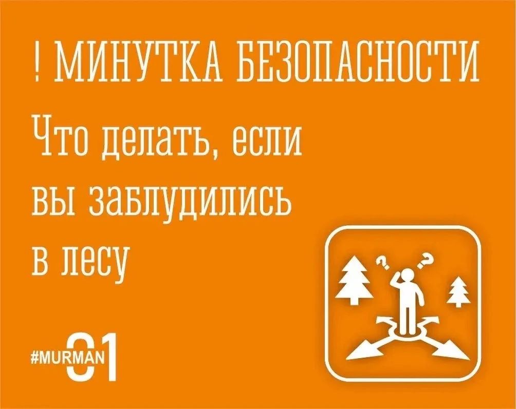 Если вы заблудились в лесу: