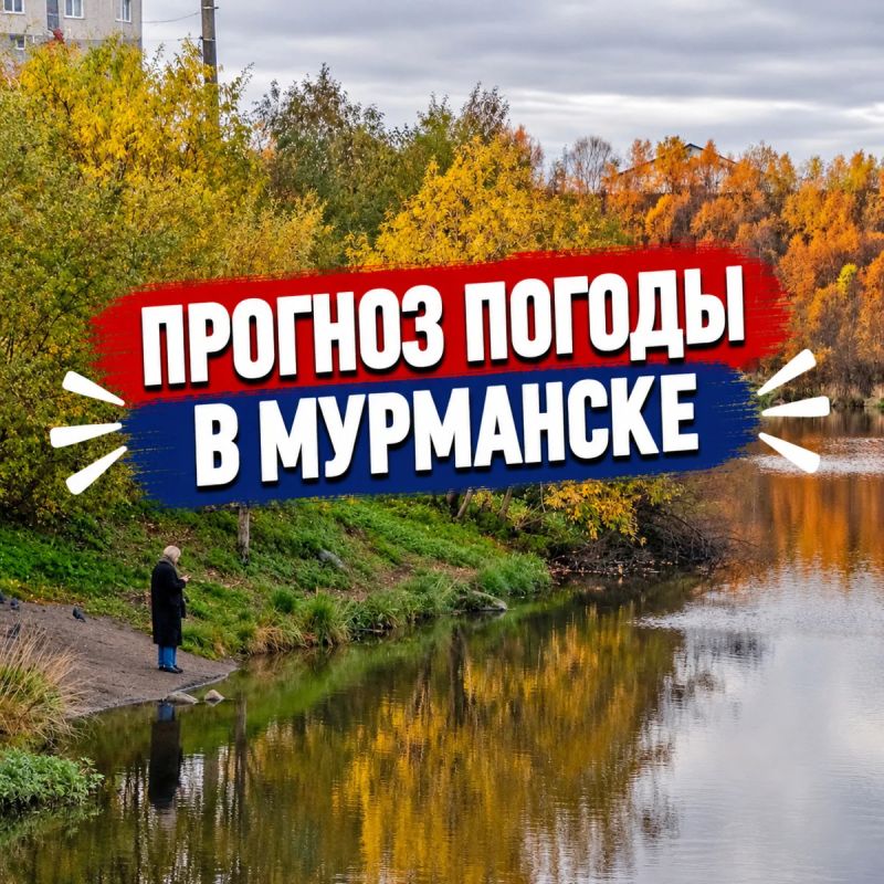 Доброе утро!.
.
Прогноз погоды в Мурманске на 6 октября:
Сегодня ветер - южный, около 2–4 м/с