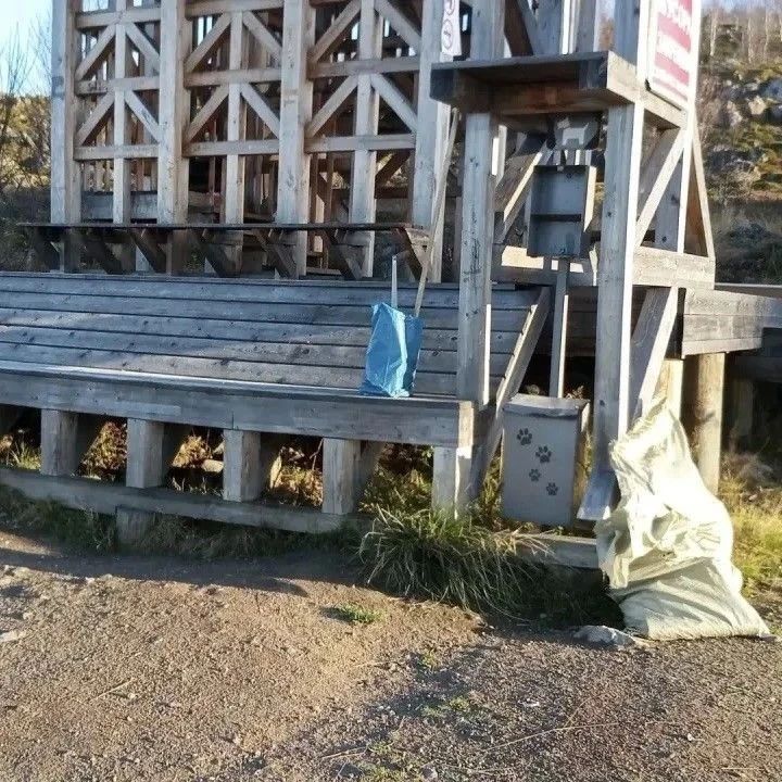 В Мурманске продолжают приводить в порядок общественные пространства В Мурманске продолжают приводить в порядок общественные пространства