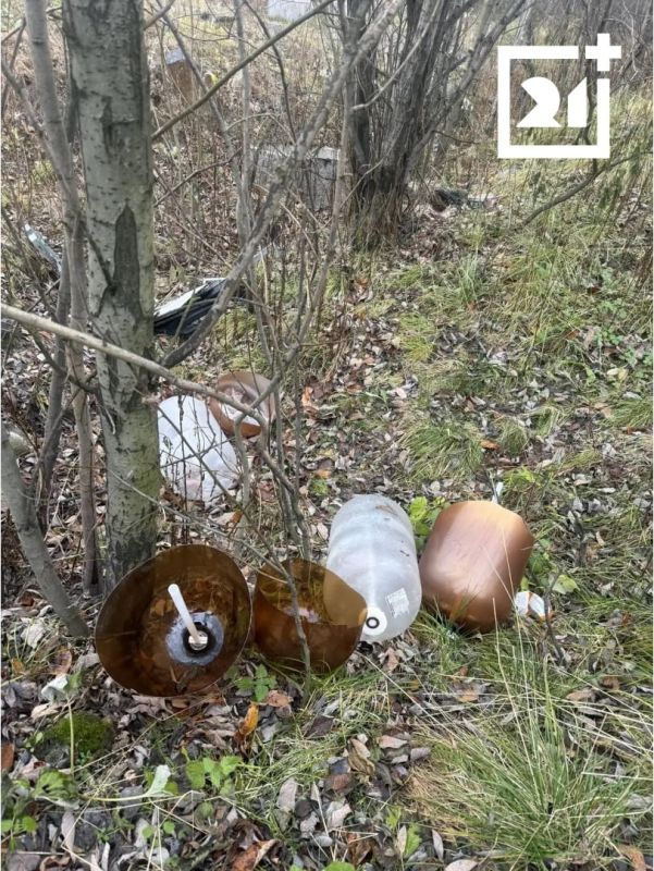 Пивные кеги вместо грибов. Жители улицы Саши Ковалева пожаловались на стихийную свалку прямо среди деревьев Пивные кеги вместо грибов. Жители улицы Саши Ковалева пожаловались на стихийную свалку прямо среди деревьев