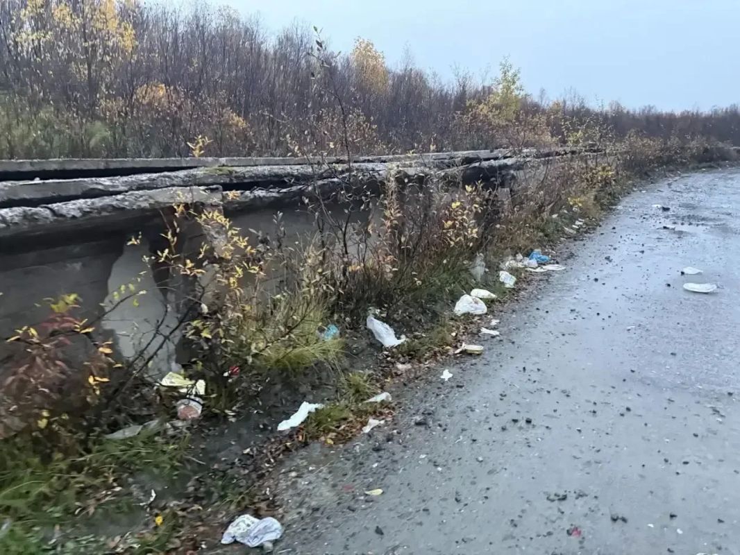 По требованию природоохранной прокуратуры в Кольском округе ликвидирована свалка на въезде в природный парк По требованию природоохранной прокуратуры в Кольском округе ликвидирована свалка на въезде в природный парк