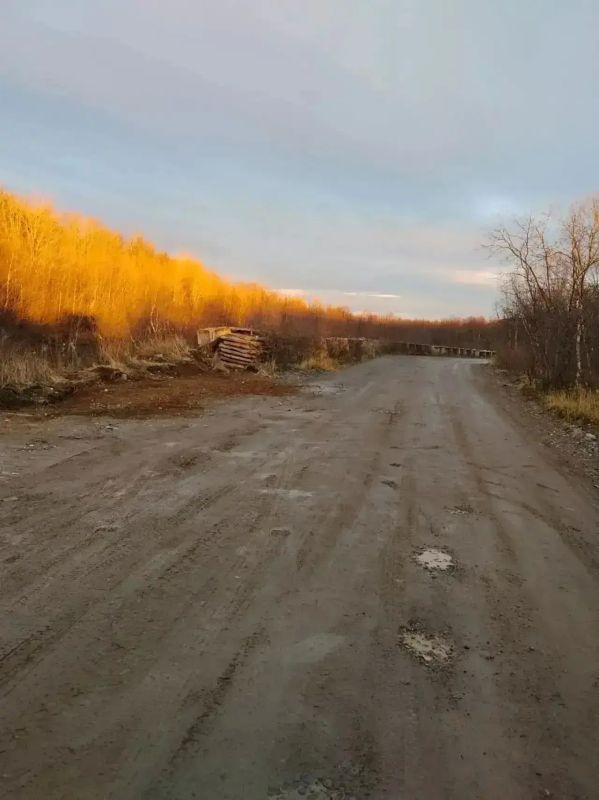 По требованию природоохранной прокуратуры в Кольском округе ликвидирована свалка на въезде в природный парк По требованию природоохранной прокуратуры в Кольском округе ликвидирована свалка на въезде в природный парк