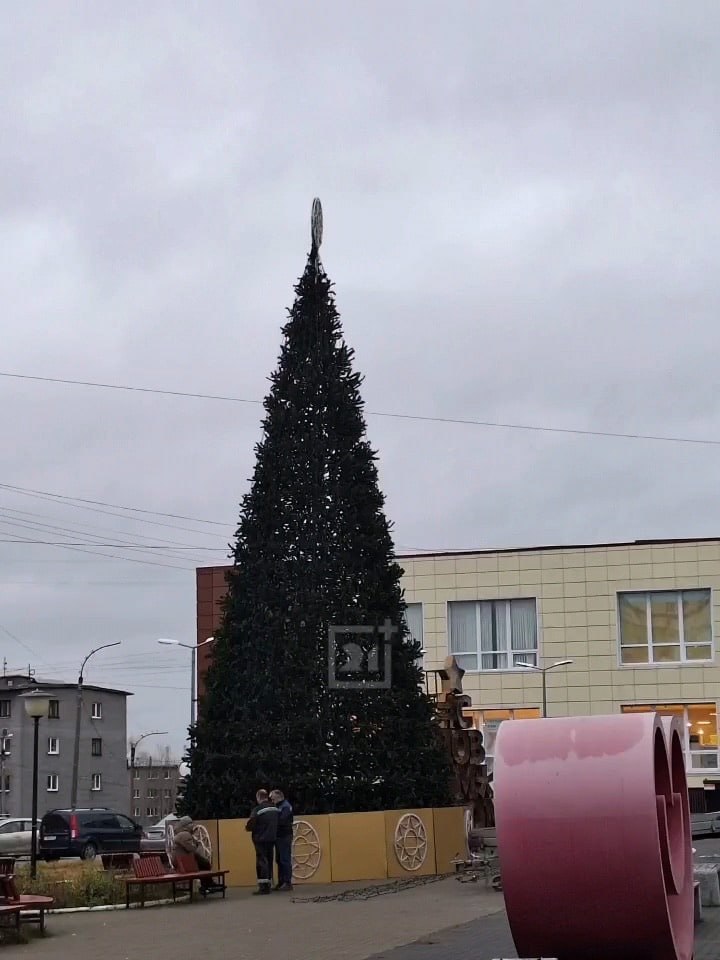 Доброе утро, Заполярье!. Снега еще нет, а в Кандалакше уже вовсю готовятся к Новому году: на центральной площади установили главную городскую елку