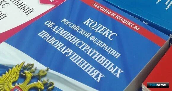 Мурманской областной Думой поддержан законопроект прокурора области о праве органов местного самоуправления на составление протоколов по отдельным бюджетным правонарушениям