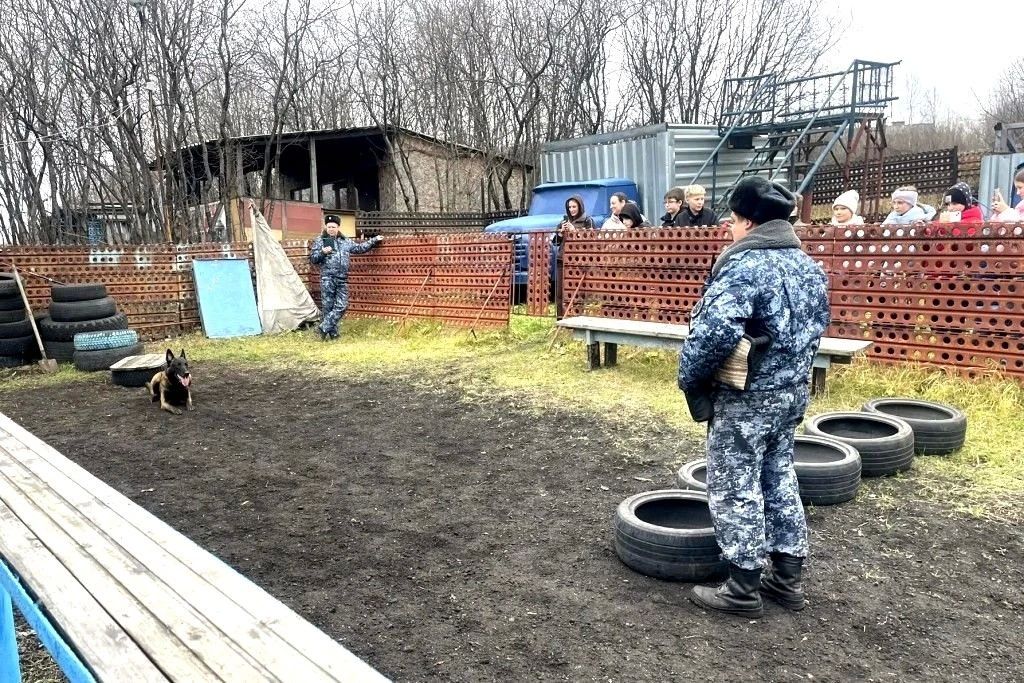 Ученики Губернаторского лицея познакомились со службой кинологов УФСИН Ученики Губернаторского лицея познакомились со службой кинологов УФСИН